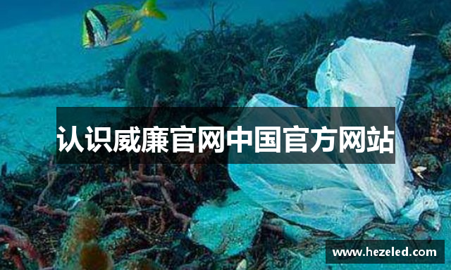 认识威廉官网中国官方网站